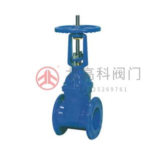 Z45X-10、Z45X-16 彈性座封閘閥